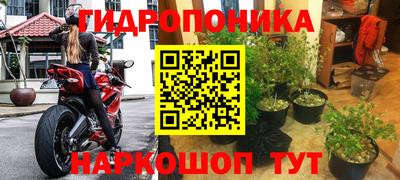 индика Волгодонск